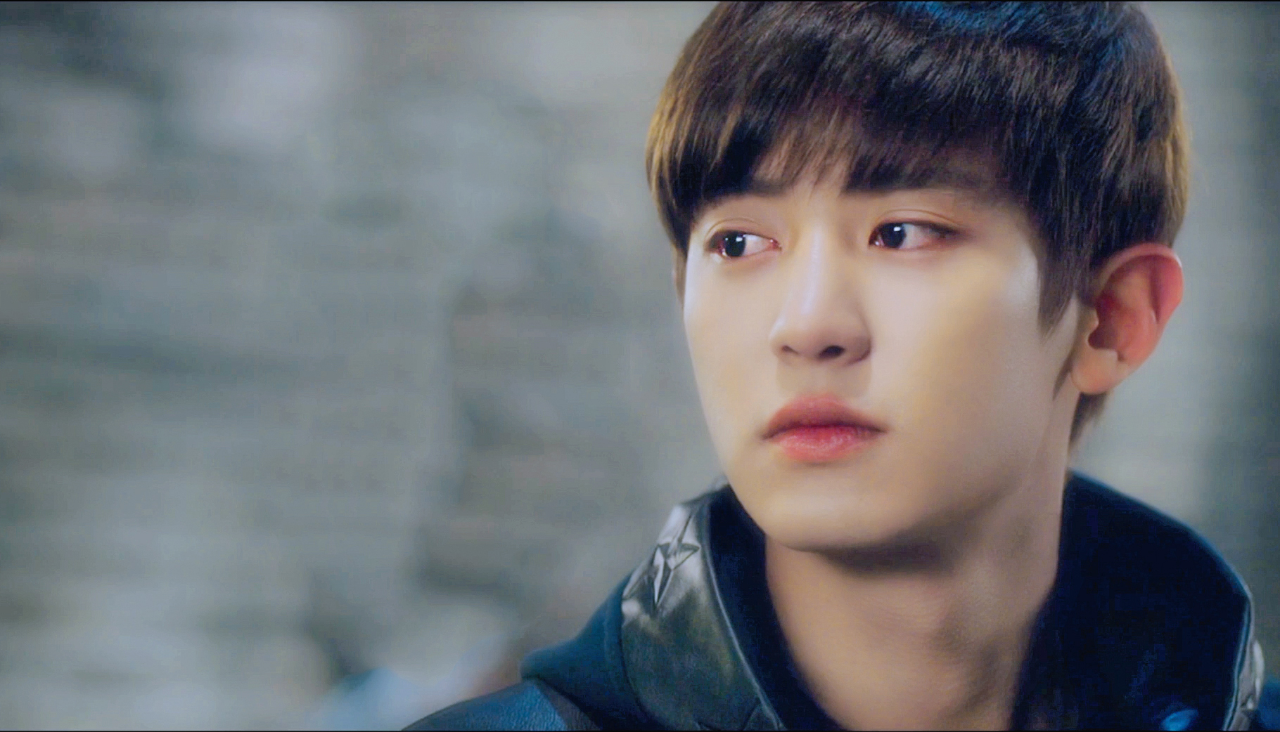 exo 朴灿烈