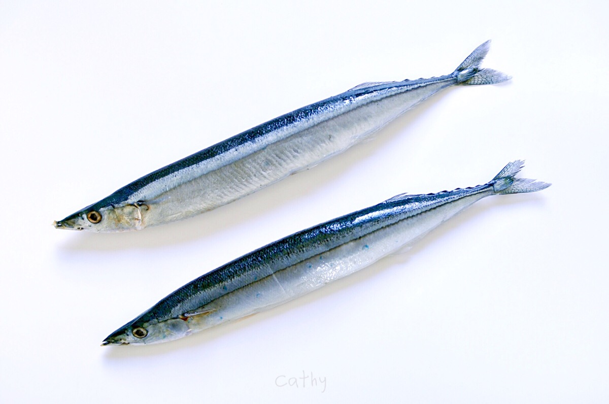 秋刀鱼的滋味,猫和你都想了解.