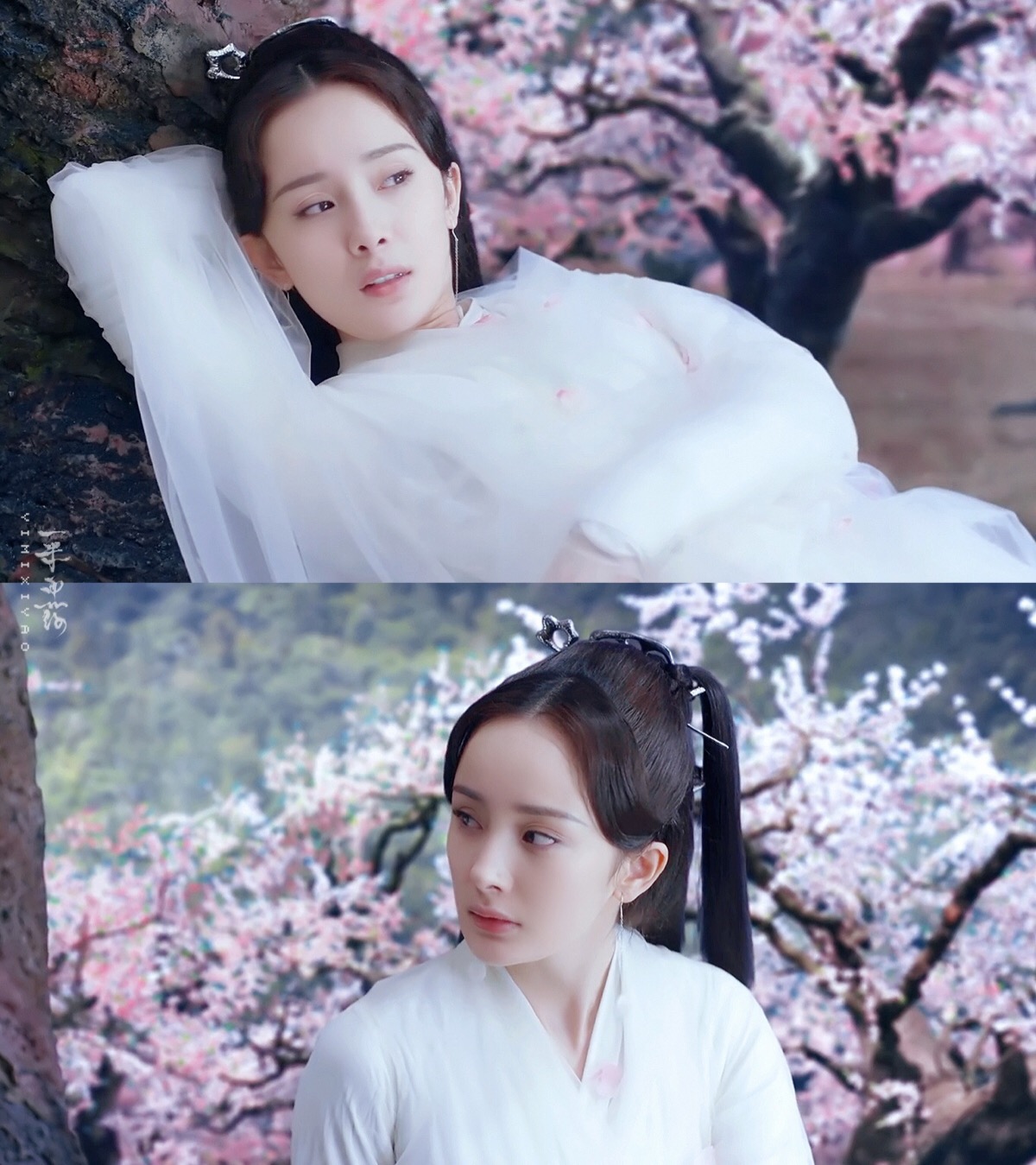 【三生三世十里桃花】司音·素素·白浅·不忘三生三世,相约十里