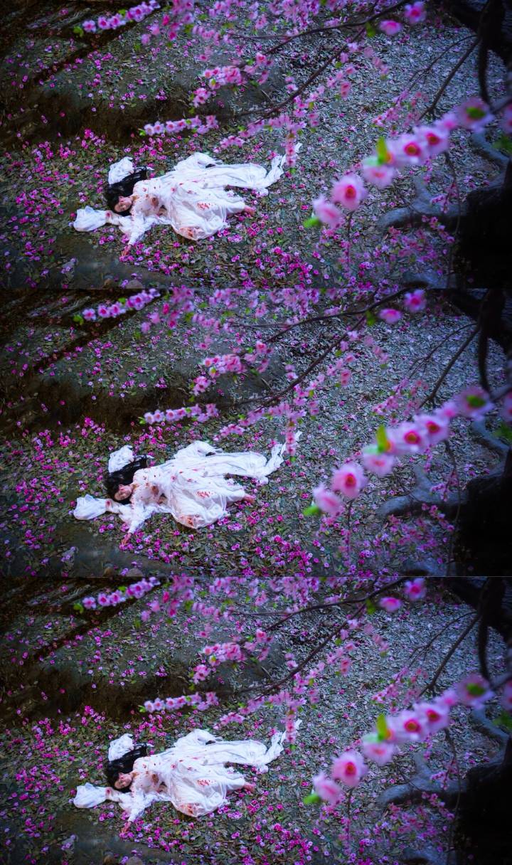 三生三世十里桃花 白浅 杨幂