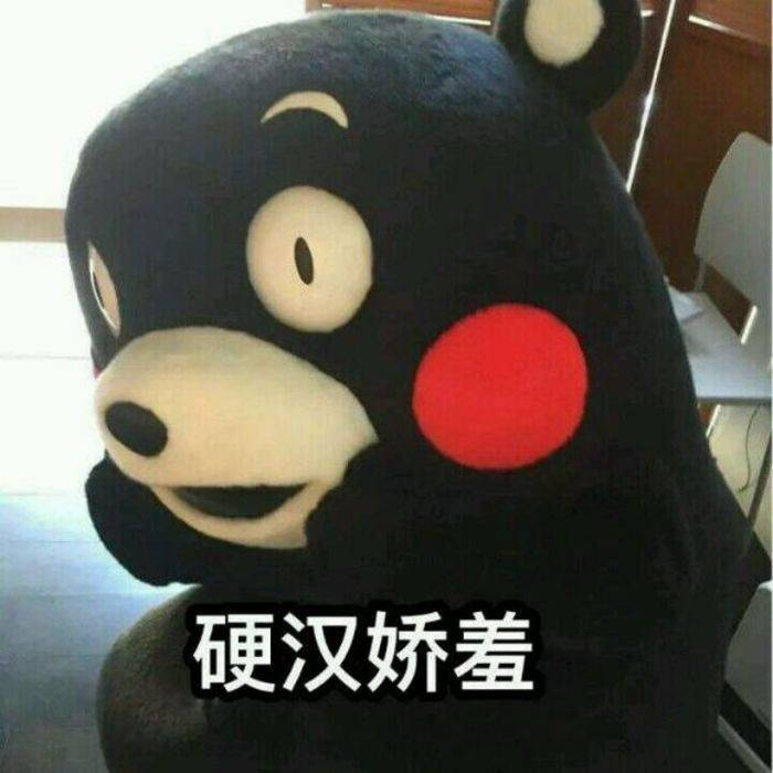 捕捉一只大熊本熊动漫熊本熊可爱表情表情搞笑表情包的画教可爱我图片