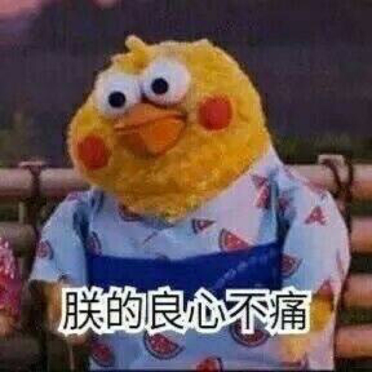小黄鸡 