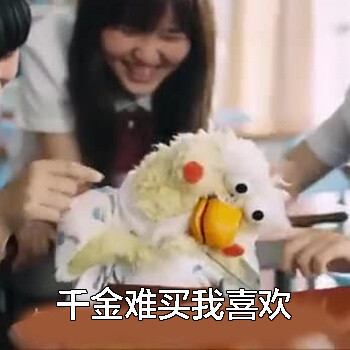 表情包# 鹦鹉兄弟
