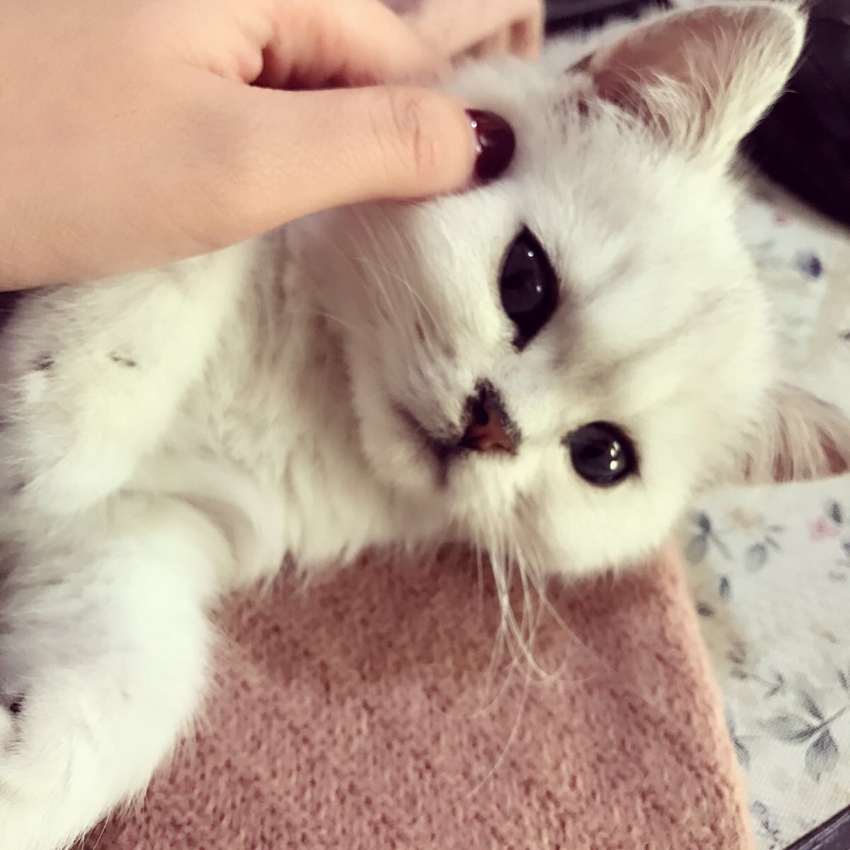 捏～
