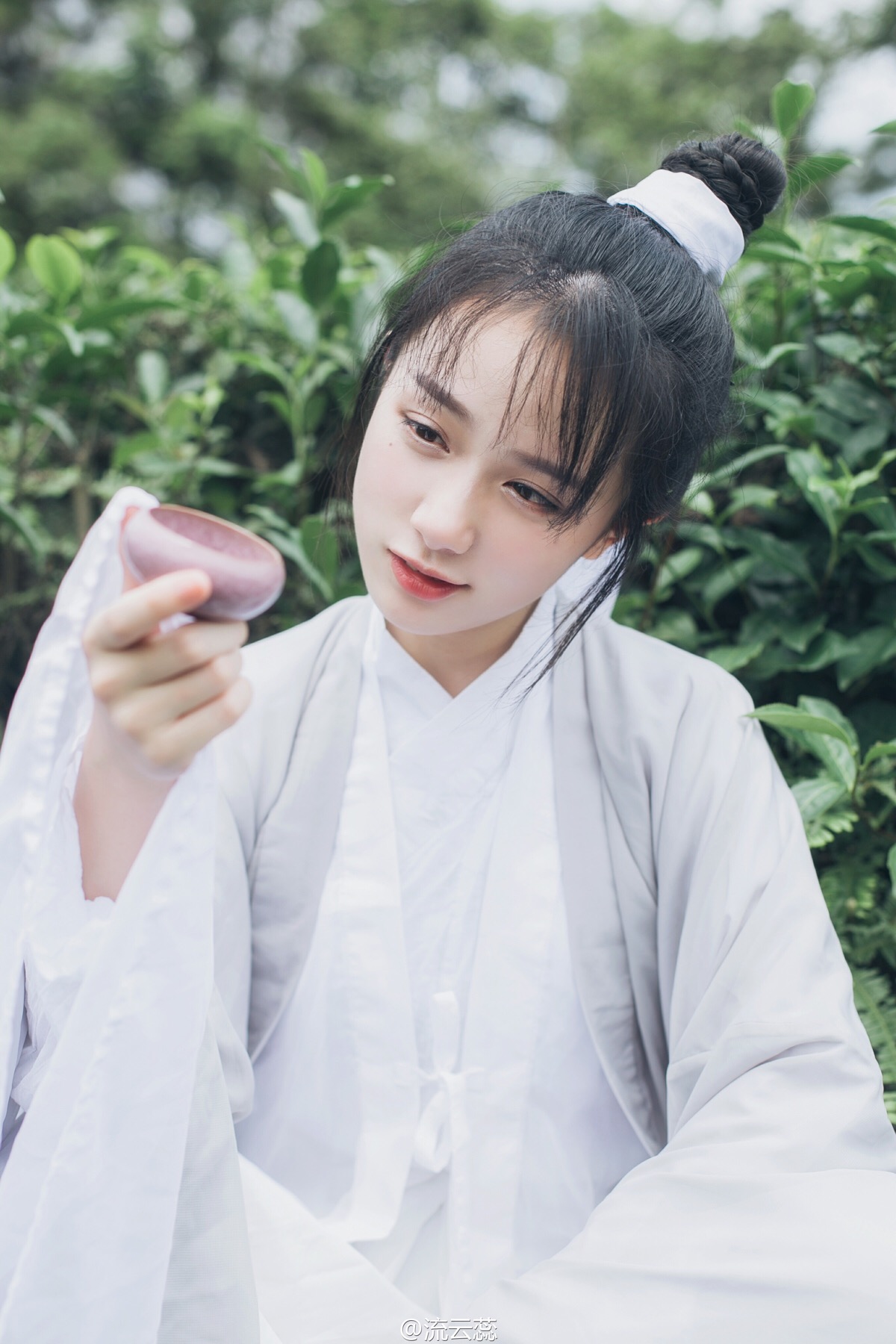 酒沧