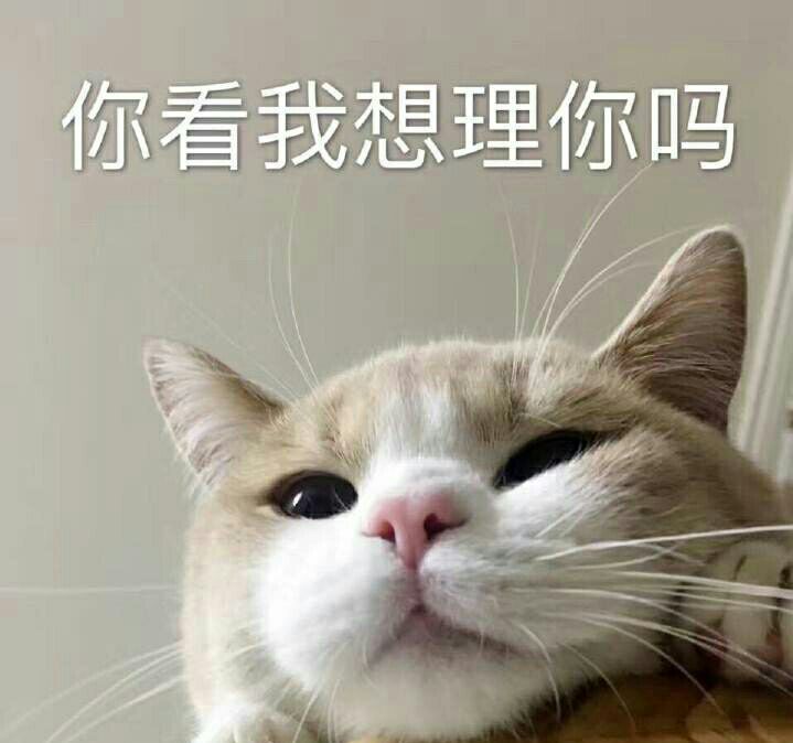 【要时刻保持一颗少女心】你要记得 要把我当个宝贝 不要丢下我也别让