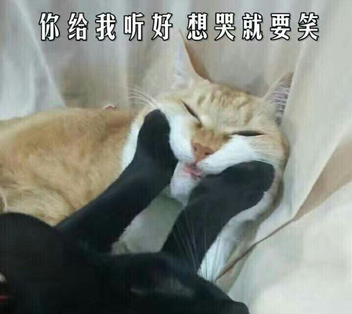 【要少女保持一颗时刻心】你要…-堆糖,美好生坟墓包图表情搞笑图片