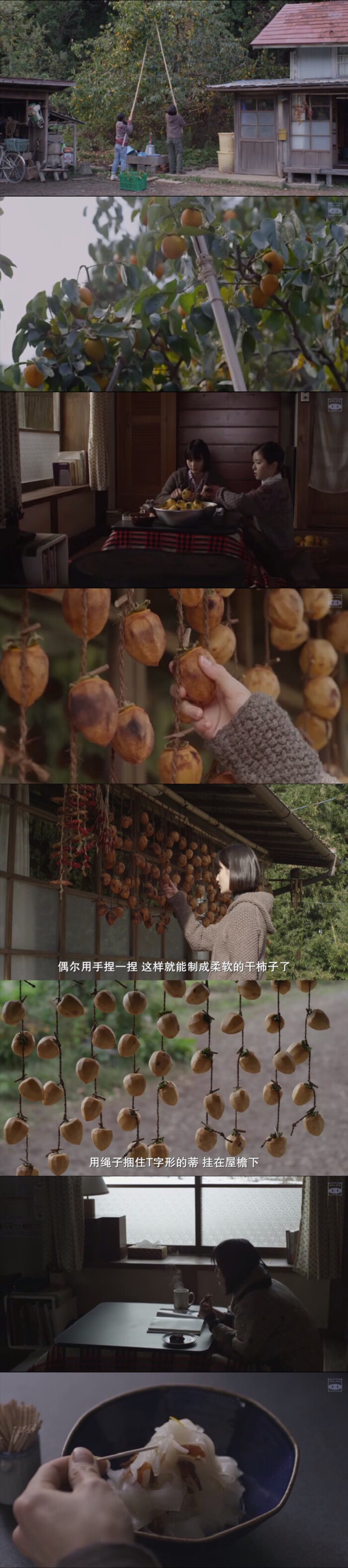 小森林冬春篇,好喜欢吃柿饼的