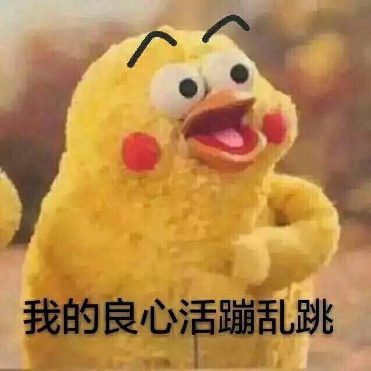 表情包/斗图/微博表情包/qq表情包/鹦鹉兄弟