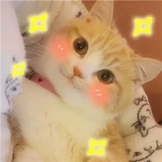 【要时刻保持一颗少女心】表情包可爱少女心软妹