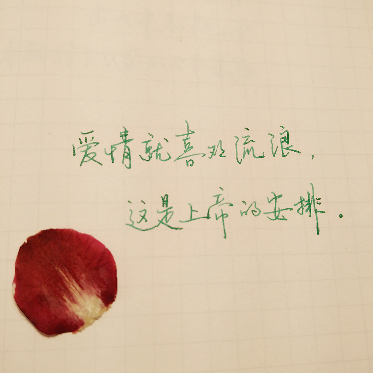爱情就喜欢流浪,这是上帝的安排.《晚安》