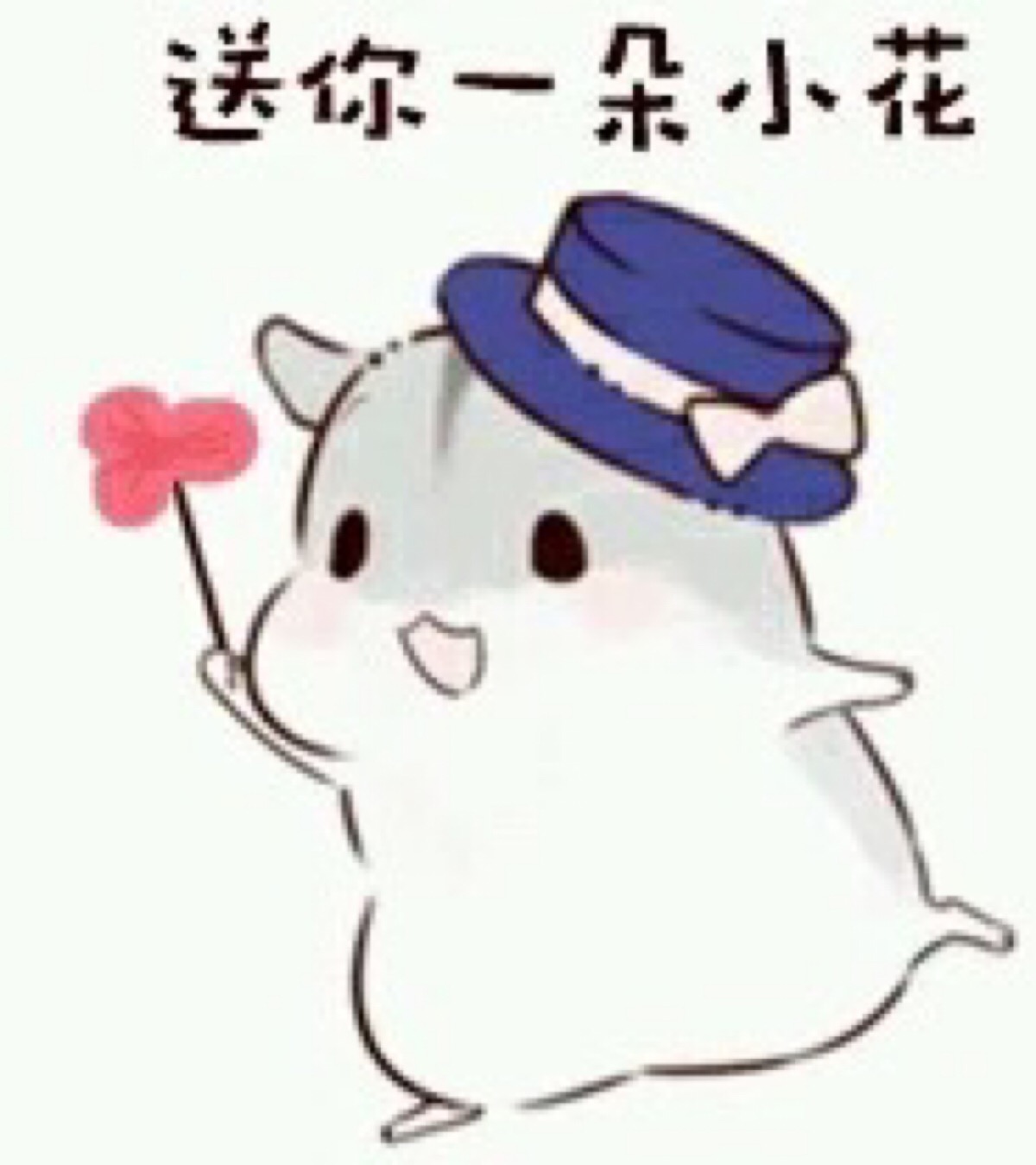 小仙女的表情包