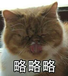 喵式傲娇表情包