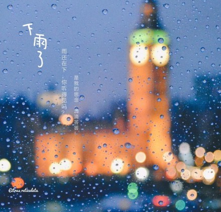 雨还在下,像在寻你