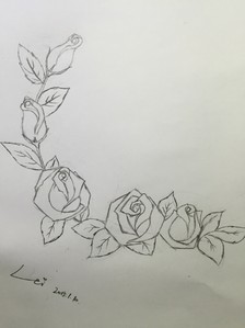 玫瑰花藤蔓花边简笔画图片