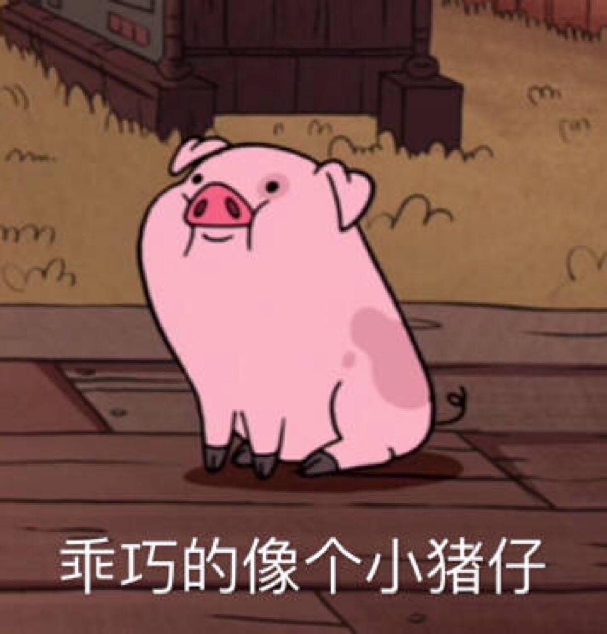 摇摇猪 
