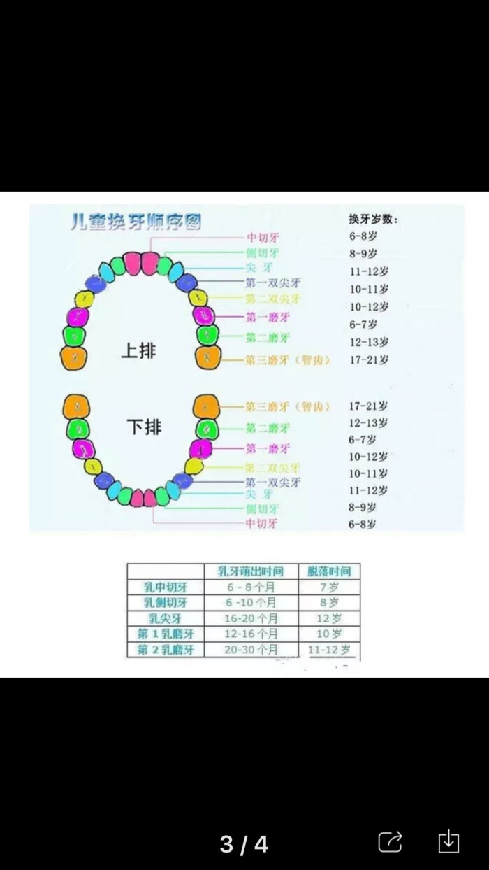 换牙齿需要多少钱一颗图片