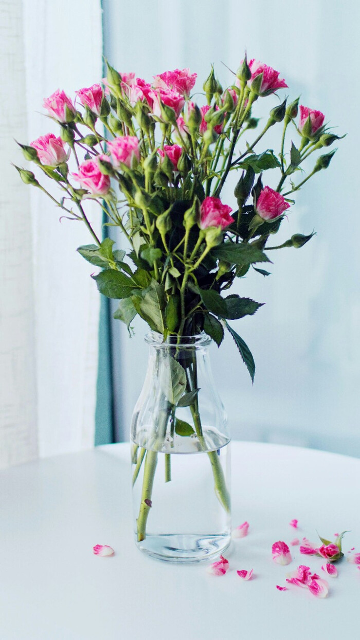 桌面插花设计 透明玻璃瓶 玫瑰