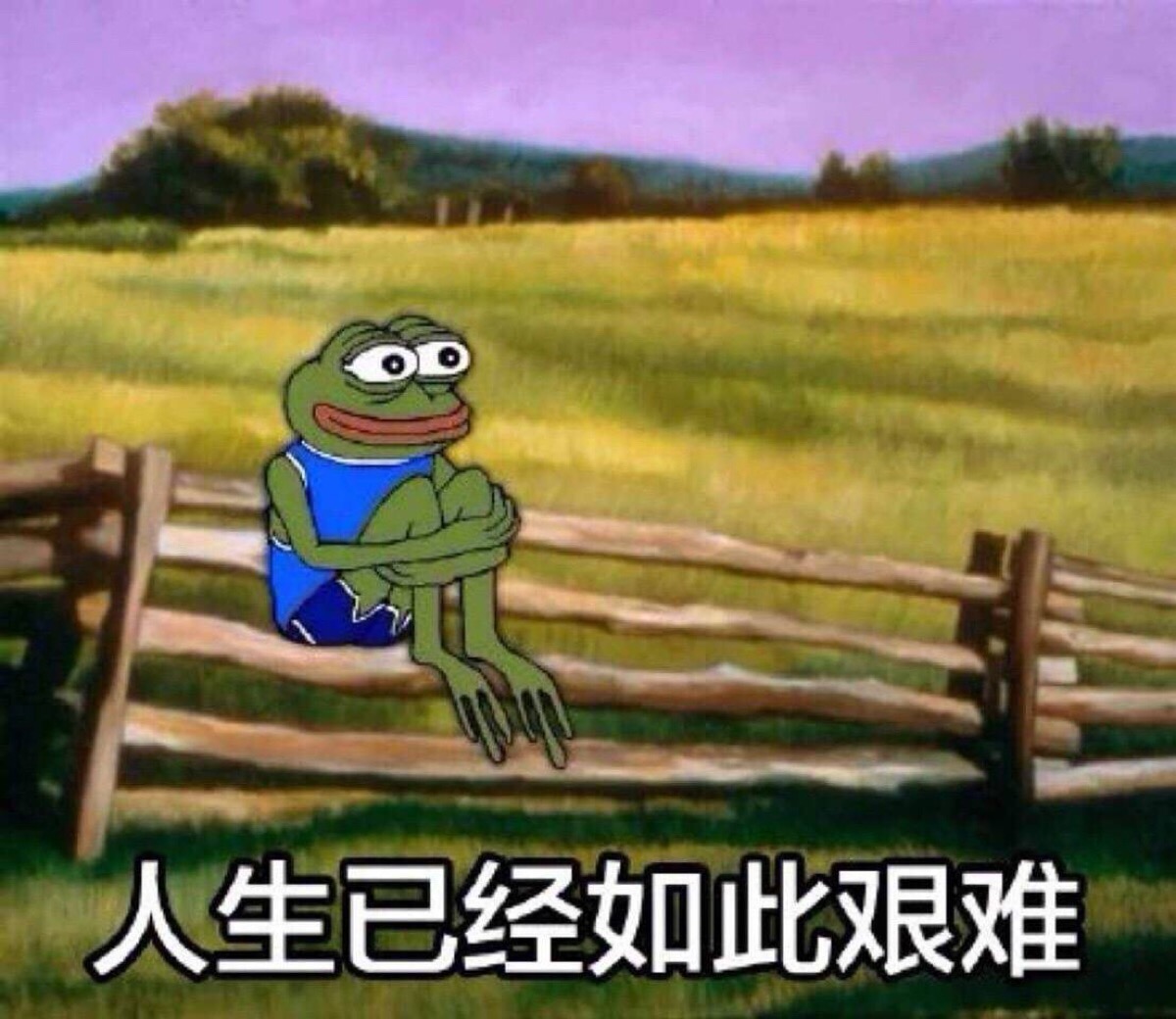 「人生」表情已经如此a人生!搞笑图拜年动图片