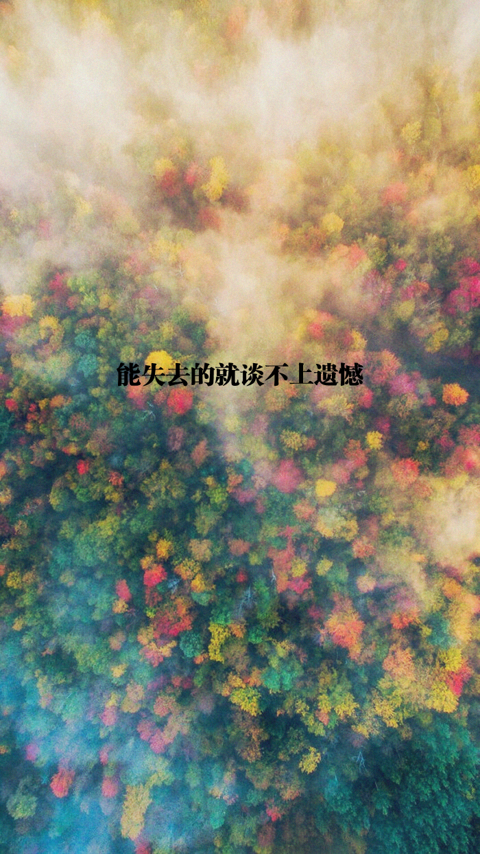 原创 自制 壁纸 背景 文字 禁止加水印修改