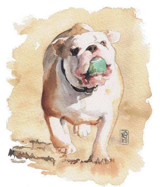 画家debra jones 宠物狗绘画作品