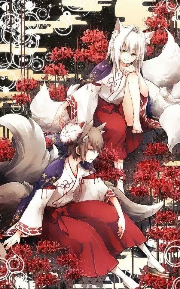 曼珠沙华 彼岸花 花和叶交叉相错