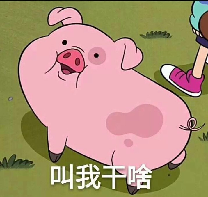 小粉猪系列