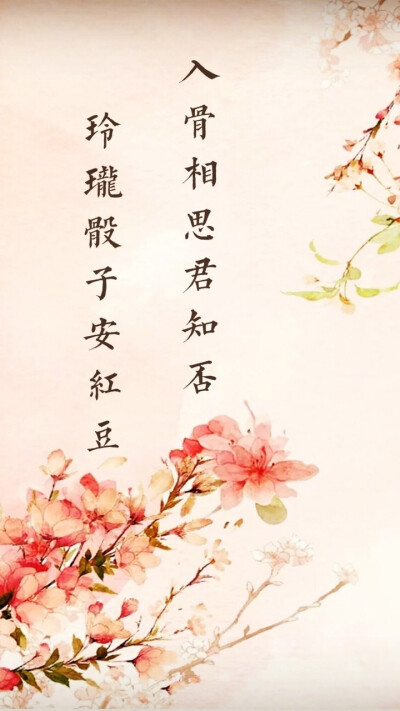 键盘皮肤