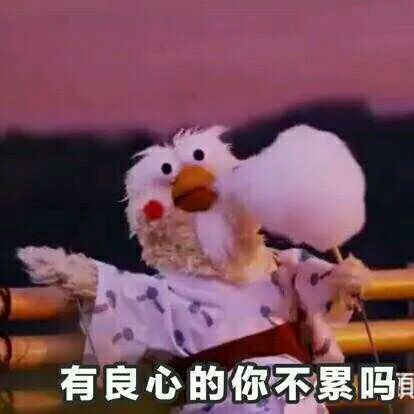 鹦鹉兄弟魔性表情包,图源贴吧,侵删.by鲸落