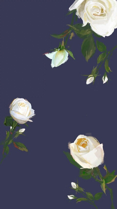 白蓝玫瑰素材图片