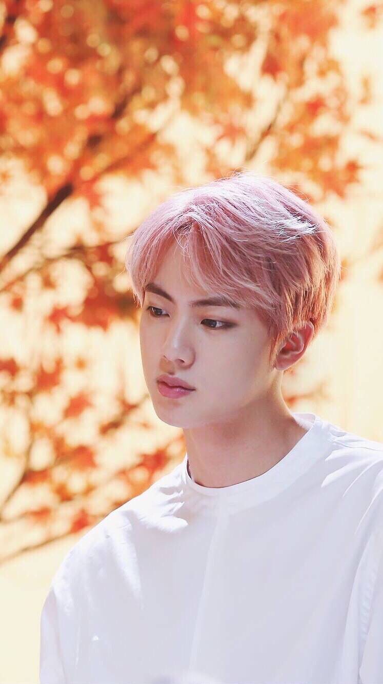 防弹少年团 金硕珍 壁纸