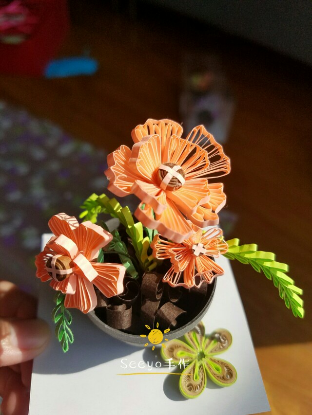 衍纸作品 立体盆栽 seeyo 交流学习可加seeyo417