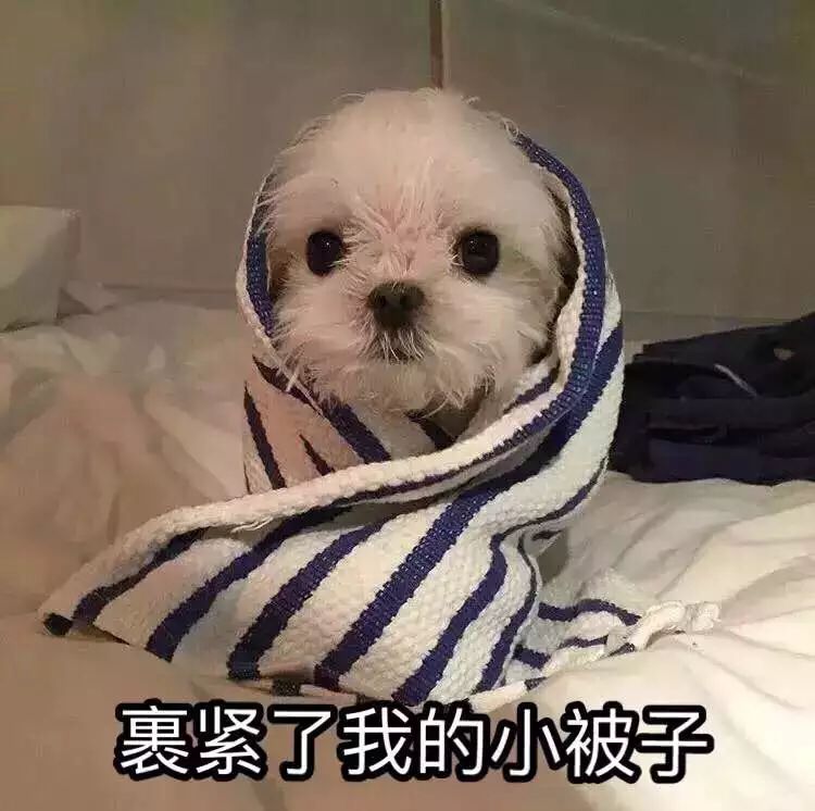 裹紧了我的小被子