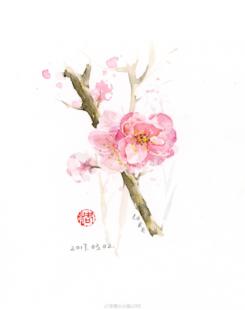 水彩花卉,出处见水印