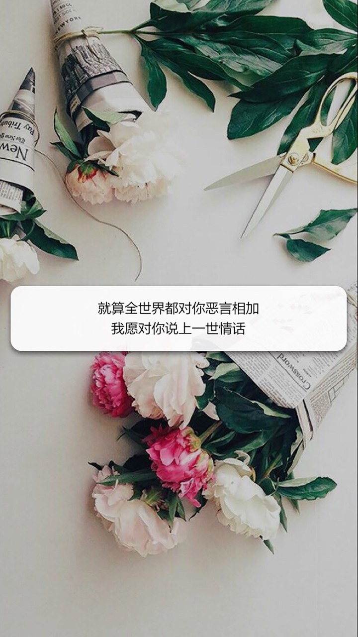 键盘壁纸 少女心 软妹 杂图 歌词 早安心语 分割字欢迎勾搭()小仙女们