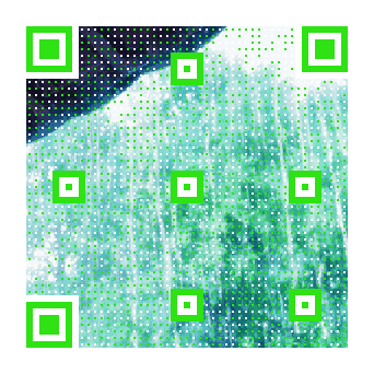 自制二维码动态图 可以帮做呦~ 专属于你的二维码