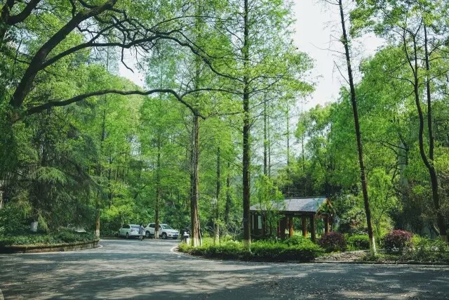 西南大学李园和九教之间