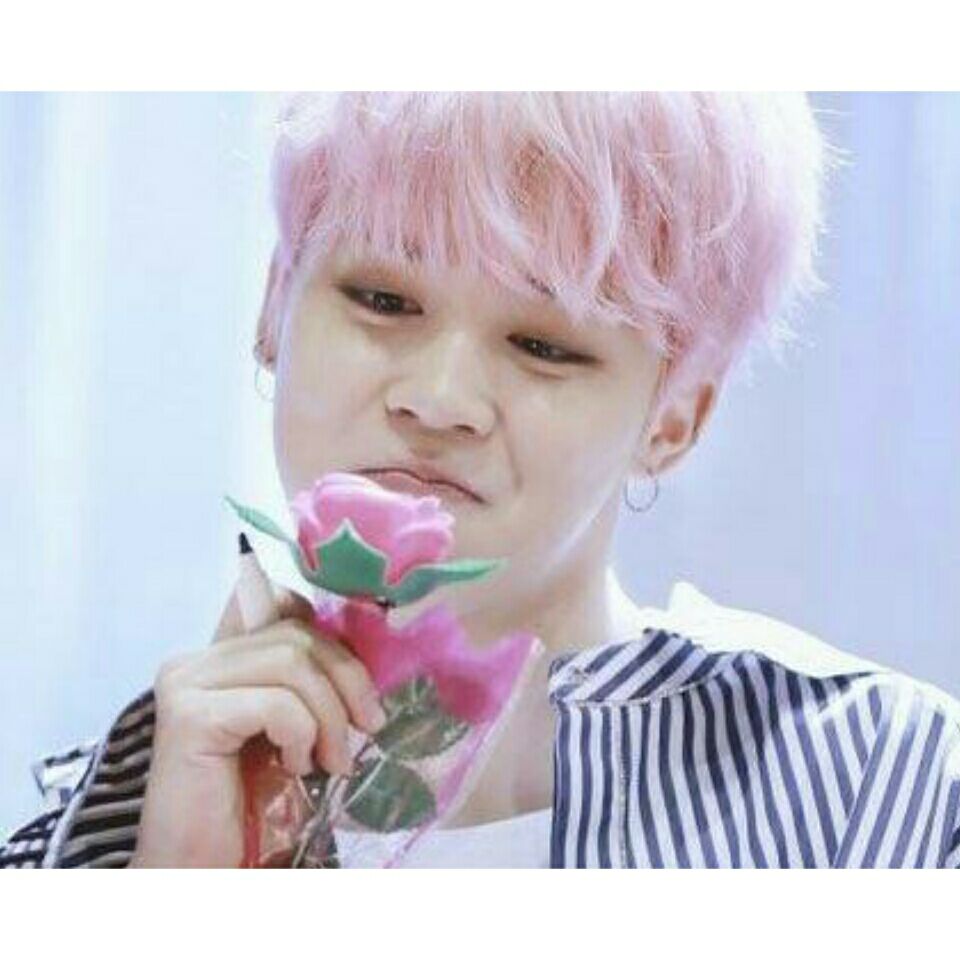 防弹少年团白底头像朴智旻jimin