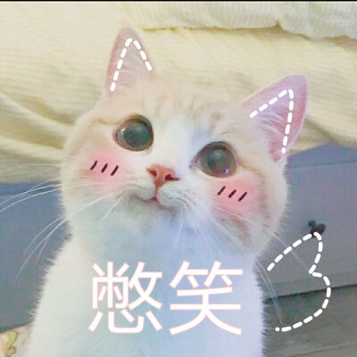 表情包 笑惜