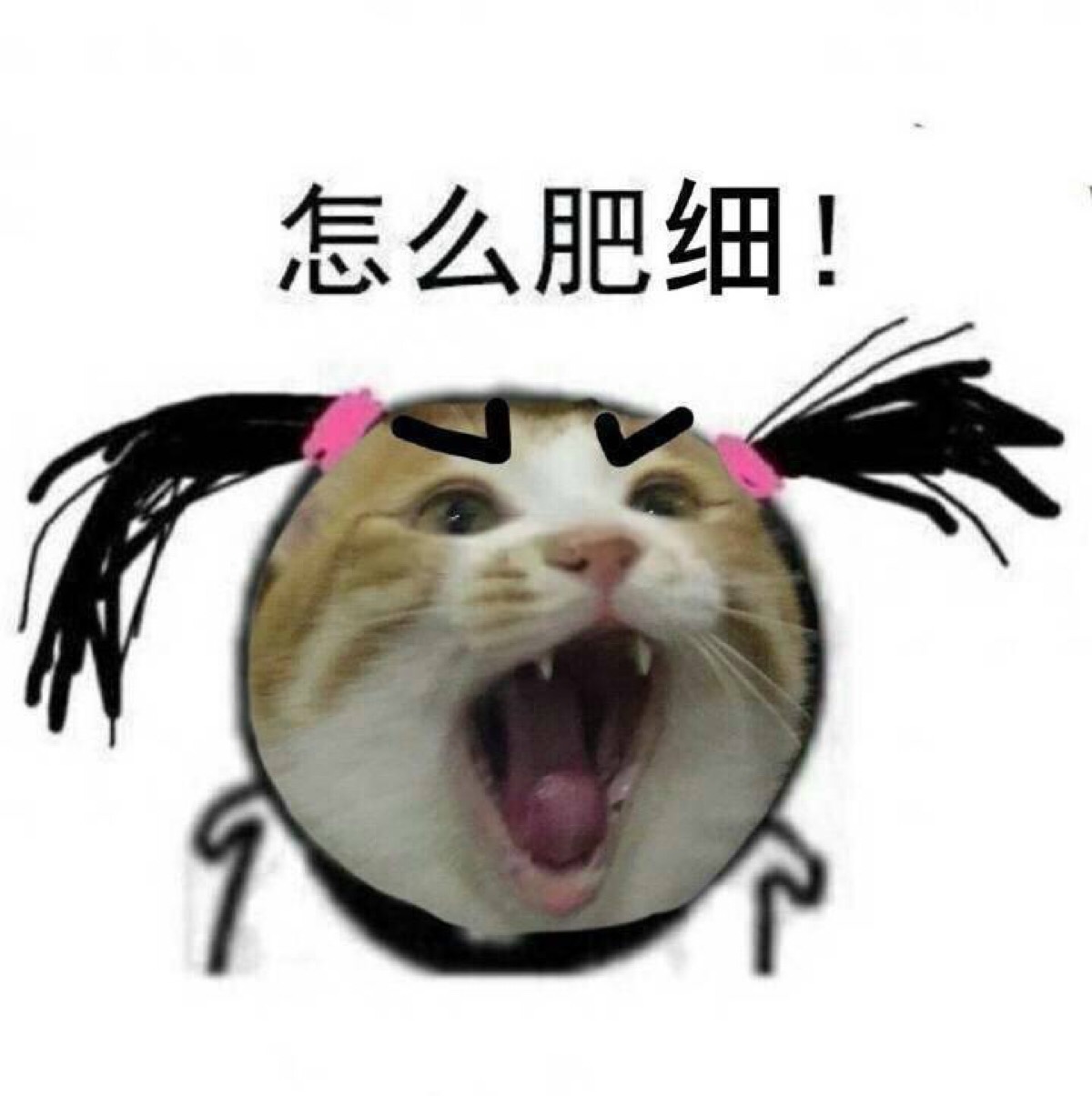 最新热图