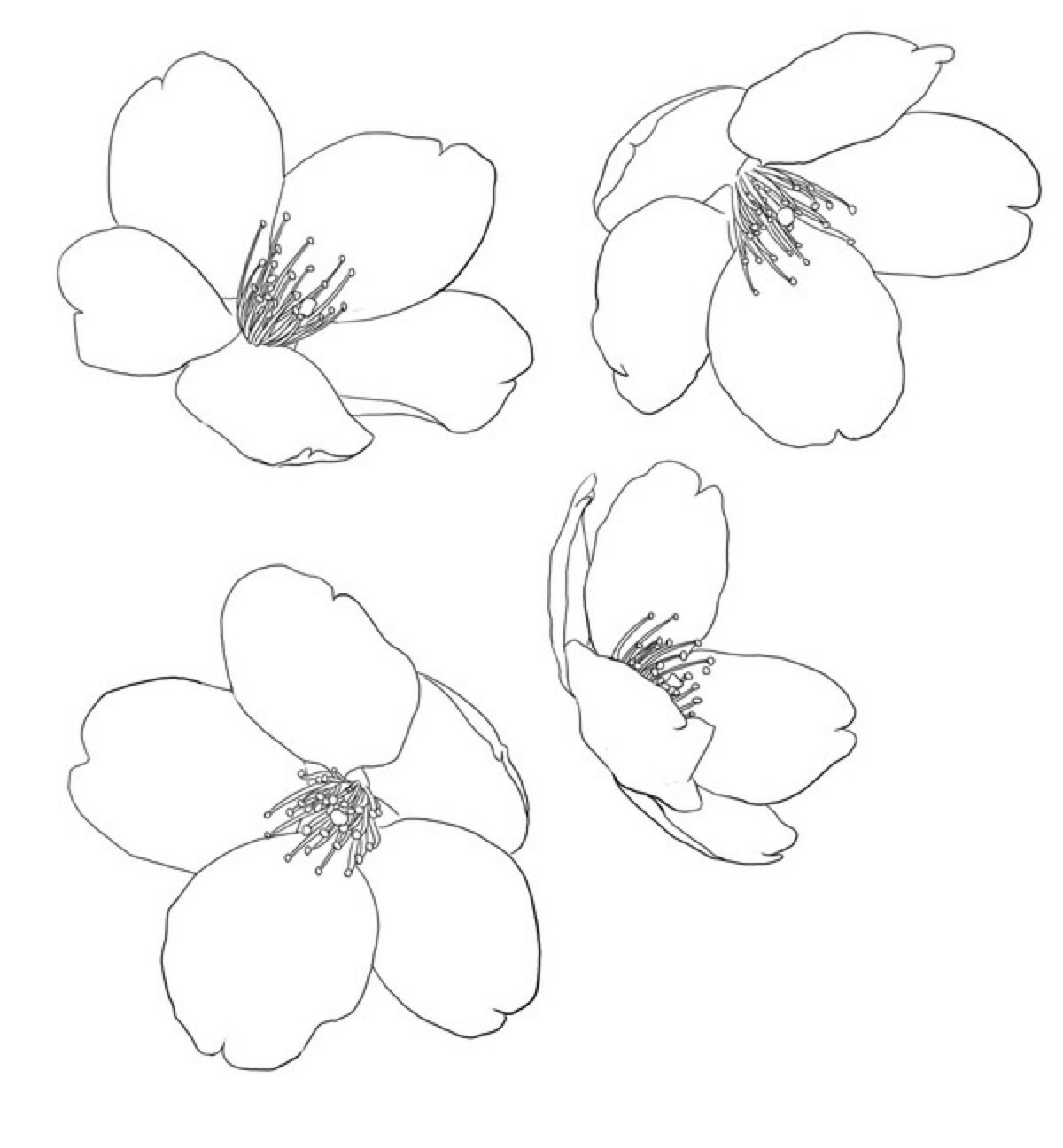 和风樱花素材