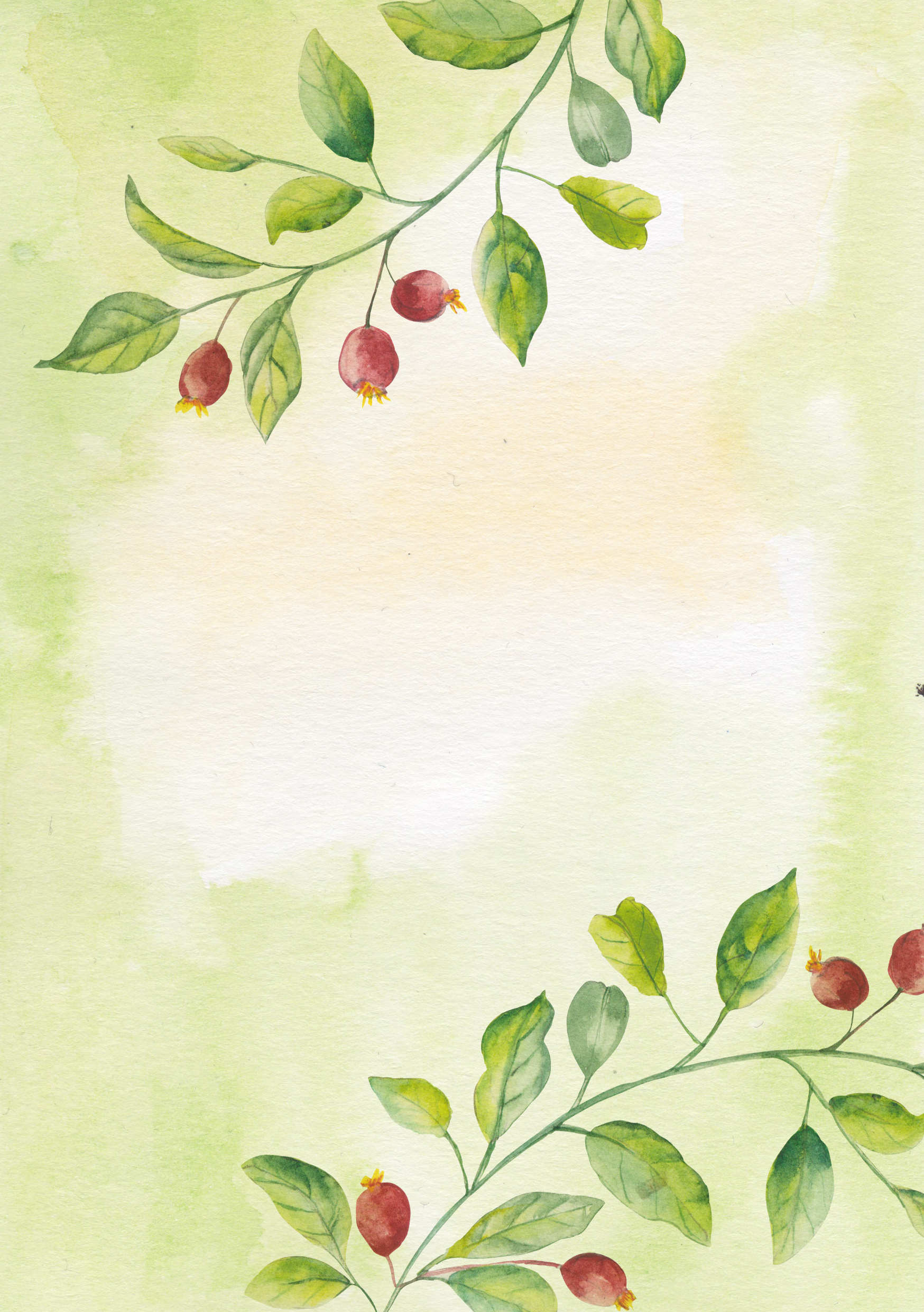 淘宝店铺[与光同行]唯美森林系粉嫩手绘水彩花卉婚礼请柬邀请卡片设计