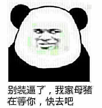 金图片猪表情斗图-堆糖,美好生活研究所馆长搞笑的关于会计图片