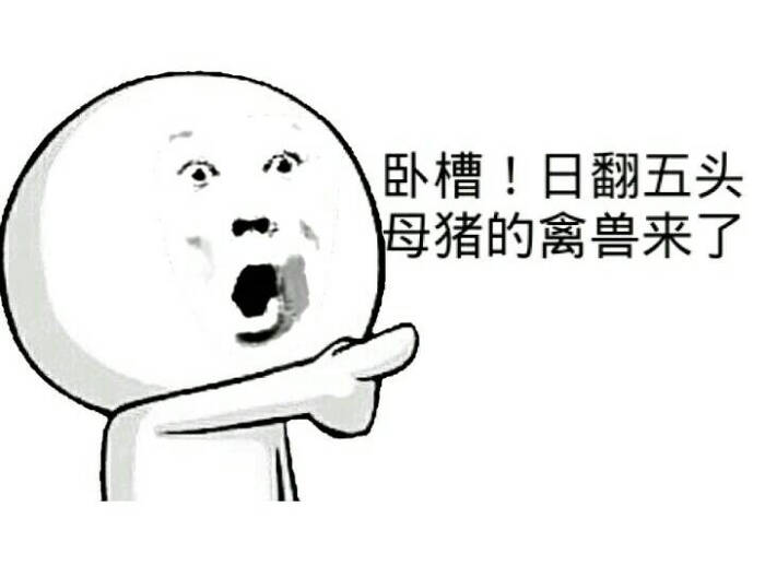 金表情猪内心斗图-堆糖,美好生活研究所奔搞笑表情包馆长溃图片