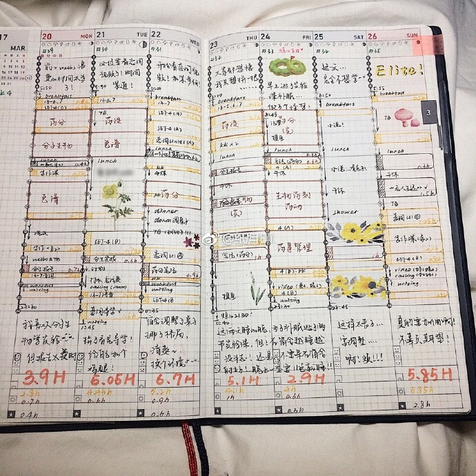 时间轴 