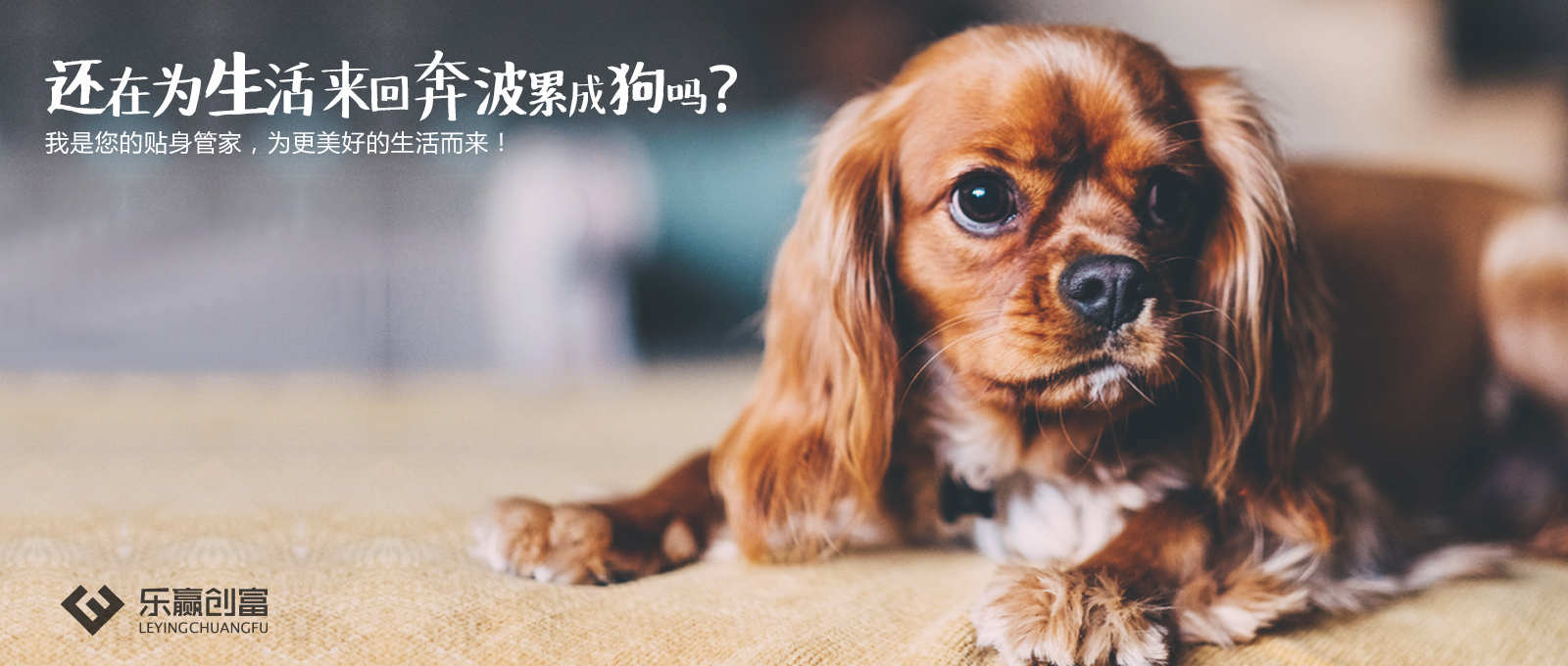 还在为生活奔波累成狗吗?