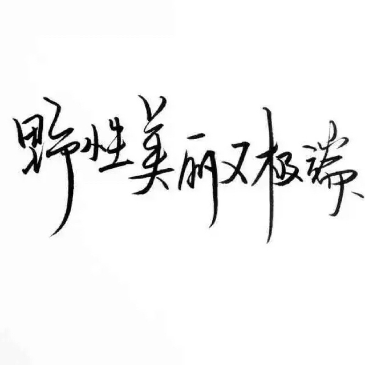 手写 文字 白底 极简 by:陈子滢. 喜欢就收集我好更新?图片