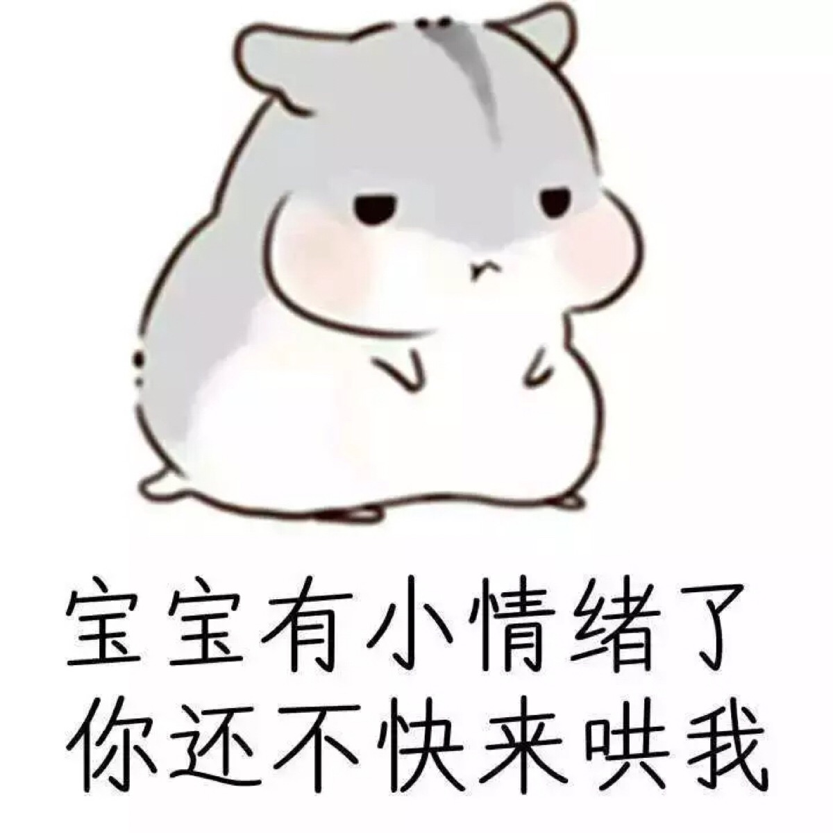 小仓鼠表情包