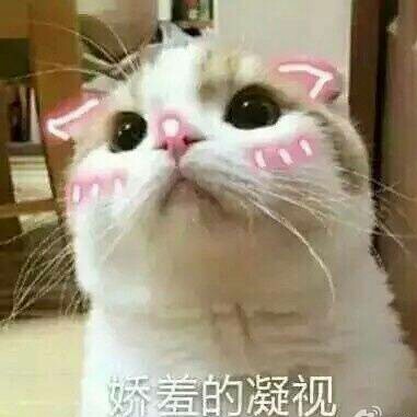 小可爱表情图片手写大简单表情包全集图片