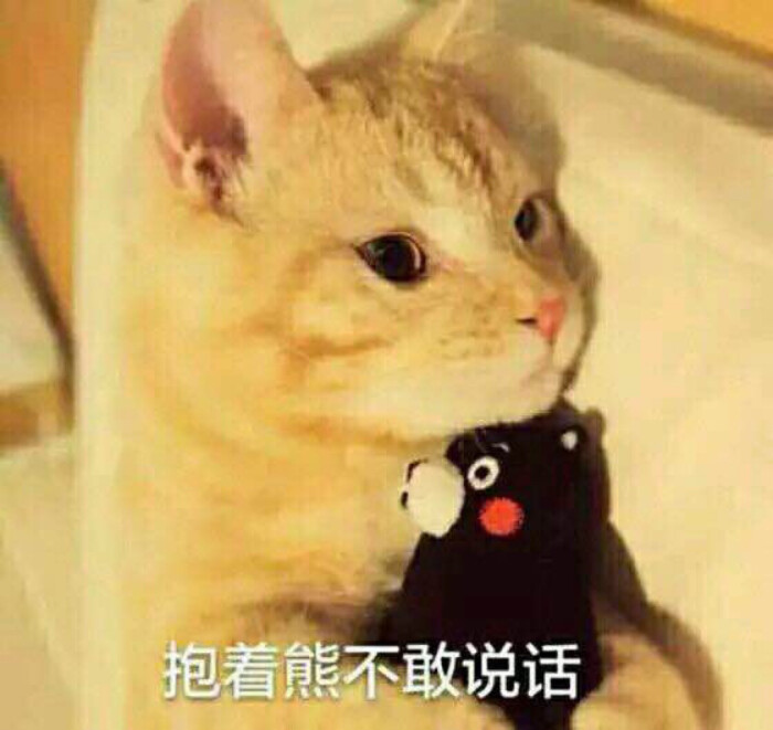 小可爱表情反省自我我没错表情包图片